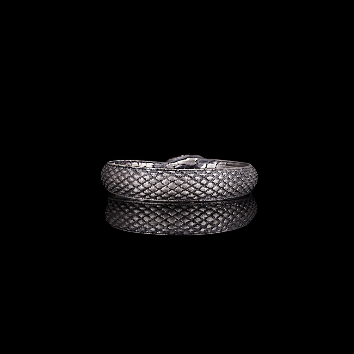 Ouroboros Snake Ring